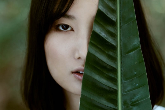 Tiffany in the wood