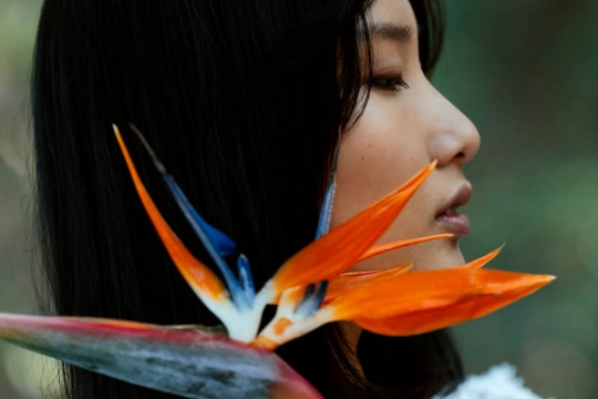 Tiffany in the wood