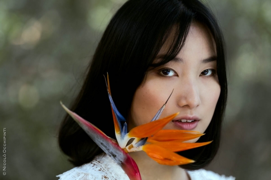 Tiffany in the wood
