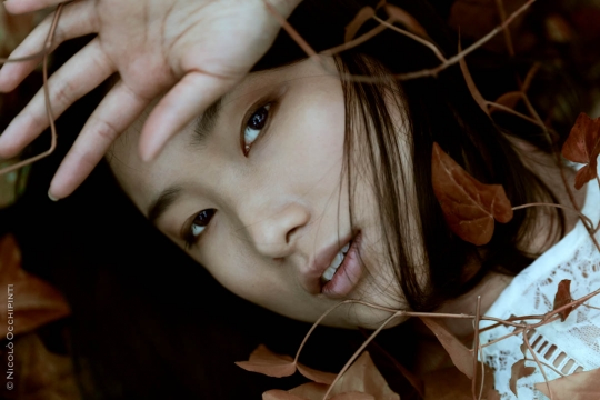 Tiffany in the wood