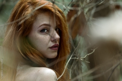 Red Harmony